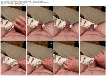 stripchat-leeandmick-11-04-2025-16-27-57