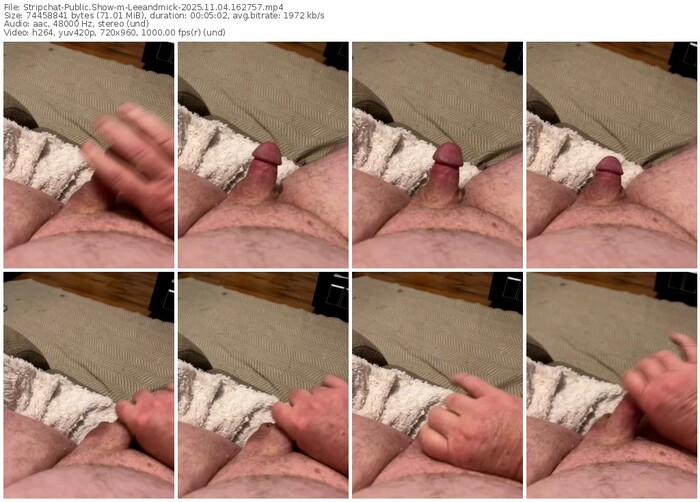 stripchat-leeandmick-11-04-2025-16-27-57