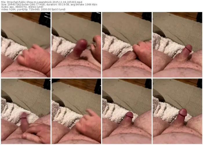 stripchat-leeandmick-11-04-2025-16-53-03