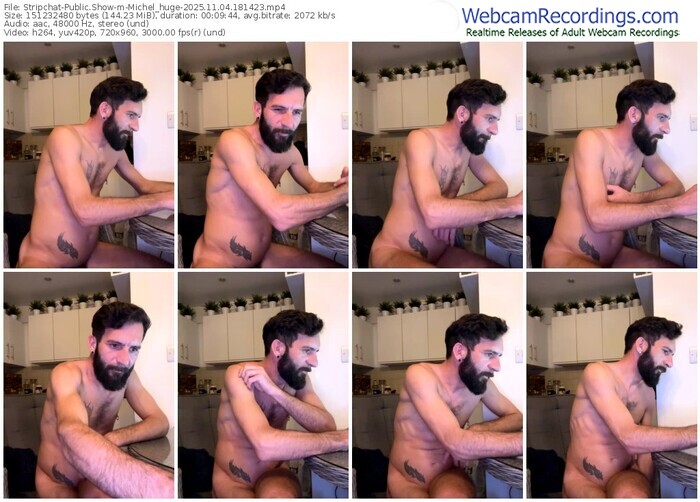 stripchat-michel_huge-11-04-2025-18-14-23