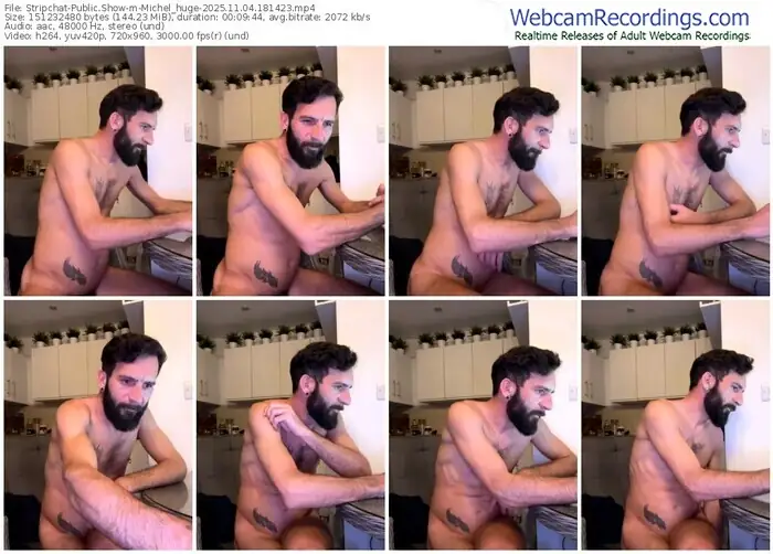 stripchat-michel_huge-11-04-2025-18-14-23