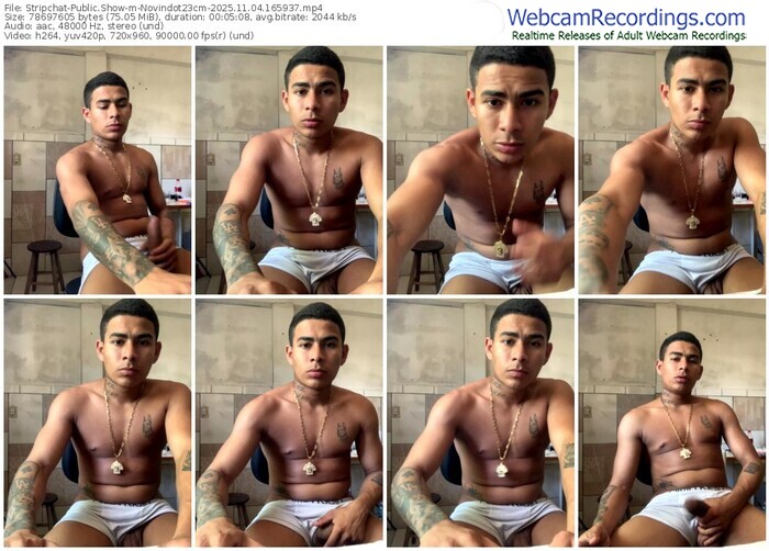 stripchat-novindot23cm-11-04-2025-16-59-37