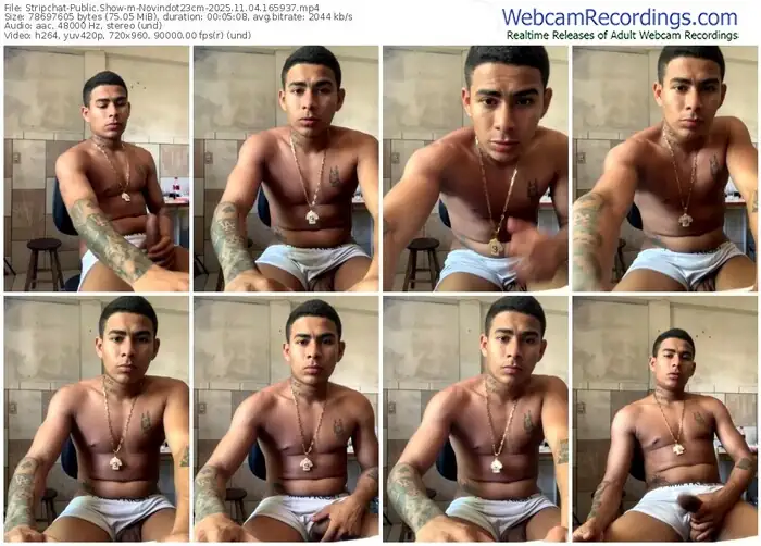 stripchat-novindot23cm-11-04-2025-16-59-37