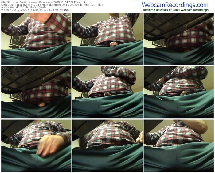 stripchat-rakastava-11-04-2025-03-44-14