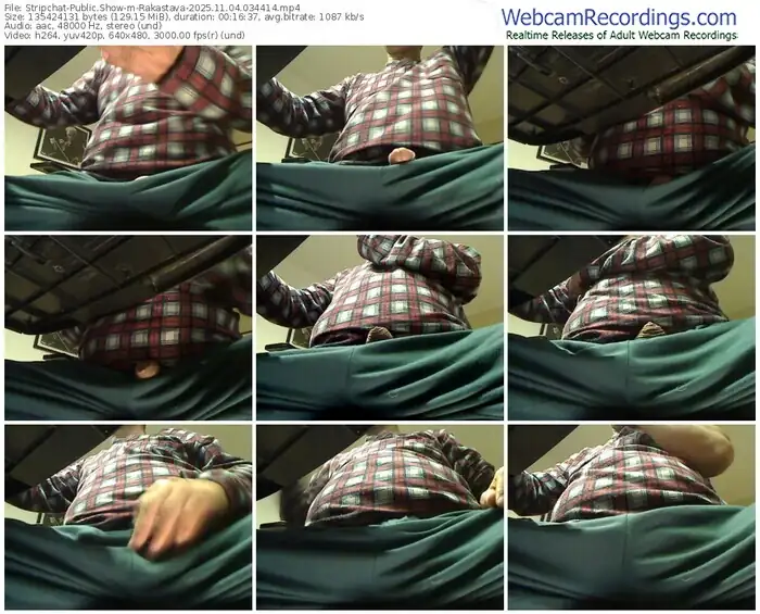 stripchat-rakastava-11-04-2025-03-44-14