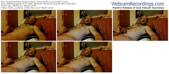 stripchat-real_viking-11-04-2025-16-32-07