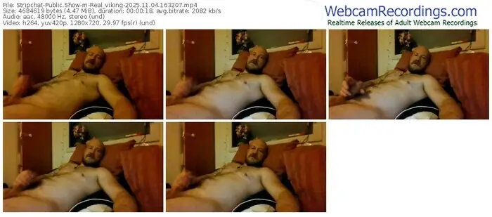 stripchat-real_viking-11-04-2025-16-32-07