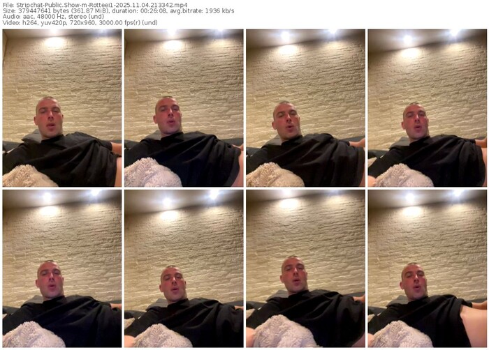 stripchat-rotteei1-11-04-2025-21-33-42