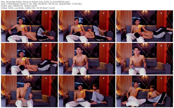 stripchat-stiben_boy-11-04-2025-06-58-24
