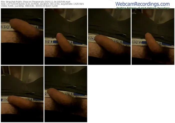 stripchat-theanimals-11-04-2025-00-15-44
