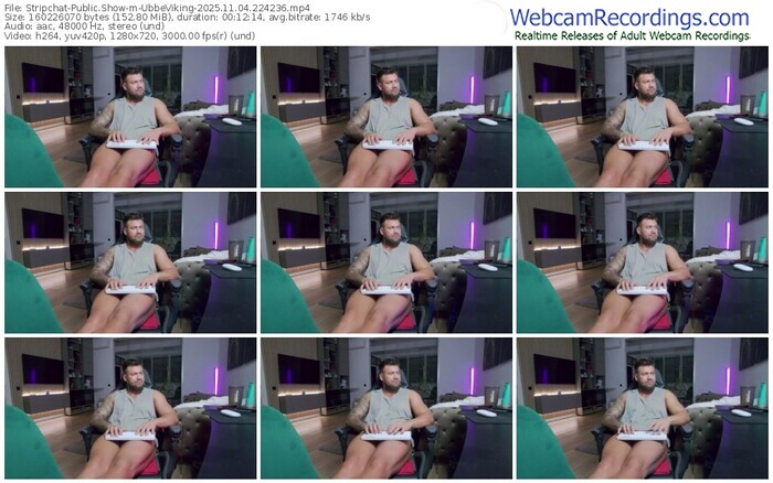 stripchat-ubbeviking-11-04-2025-22-42-36