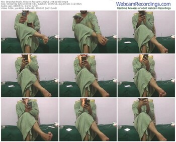 stripchat-foxsanss-11-04-2025-00-45-33