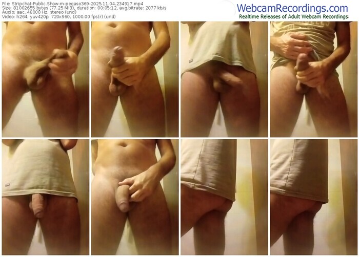 stripchat-pegaso369-11-04-2025-23-49-17