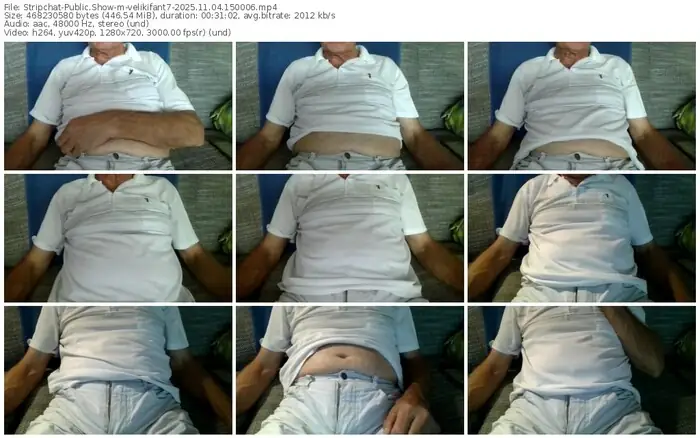 stripchat-velikifant7-11-04-2025-15-00-06