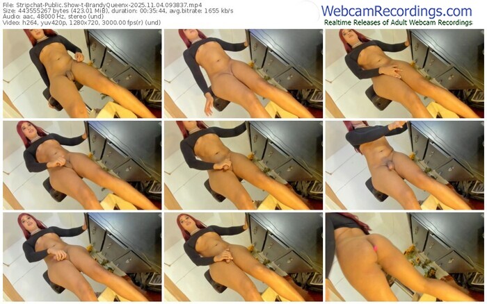 stripchat-brandyqueenx-11-04-2025-09-38-37