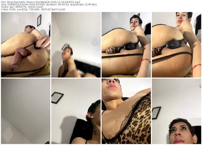 stripchat-siararealist-11-04-2025-04-35-51