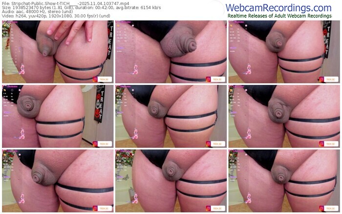 stripchat-tich____-11-04-2025-10-37-47