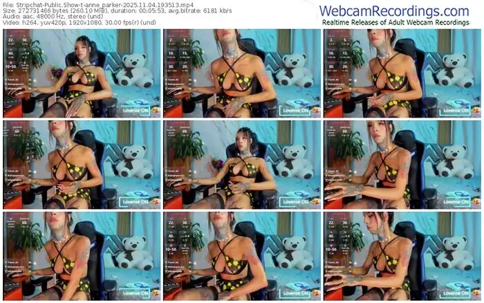 stripchat-anne_parker-11-04-2025-19-35-13