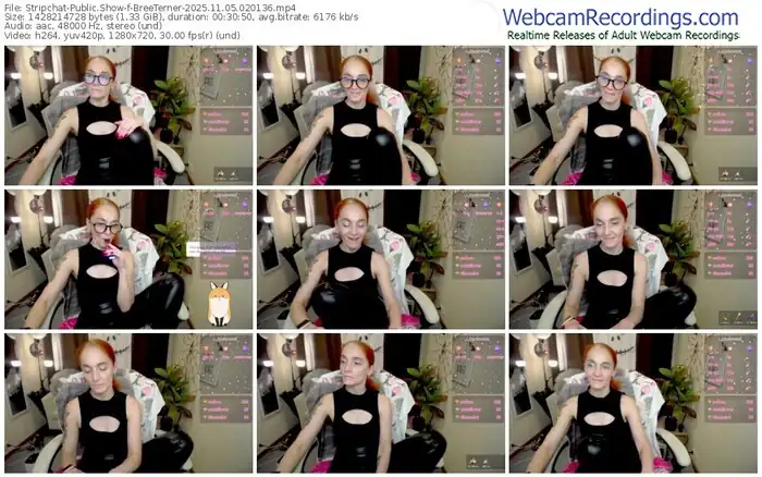 stripchat-breeterner-11-05-2025-02-01-36