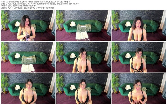 stripchat-megaboobsdee-11-05-2025-06-05-33