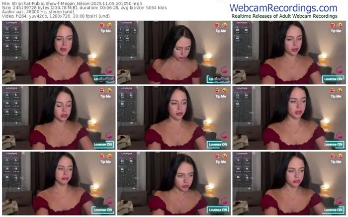 stripchat-megan_nilson-11-05-2025-20-10-50