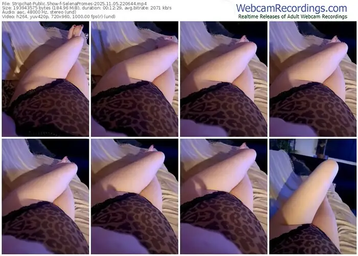 stripchat-selenapromes-11-05-2025-22-06-44