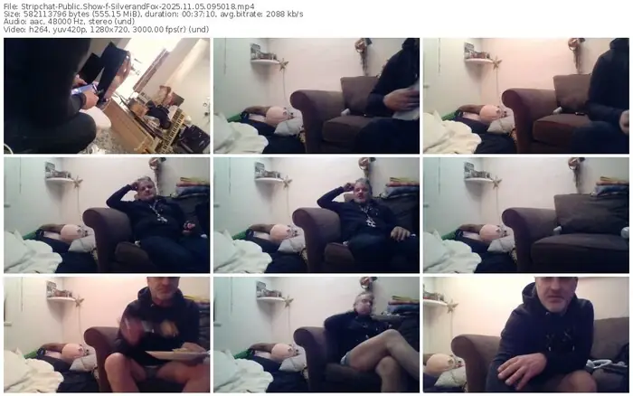 stripchat-silverandfox-11-05-2025-09-50-18
