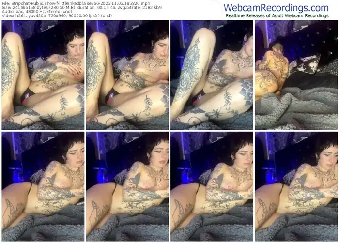 stripchat-littleinkedblaise666-11-05-2025-18-58-20