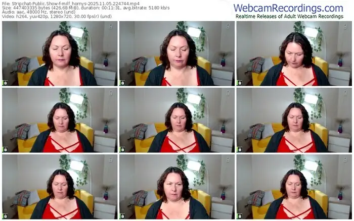 stripchat-milf_hornys-11-05-2025-22-47-44