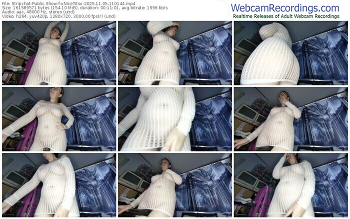 stripchat-xnicetitsx-11-05-2025-11-01-44