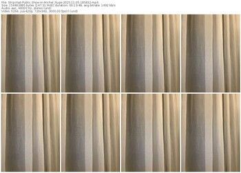 stripchat-michel_huge-11-05-2025-18-58-32