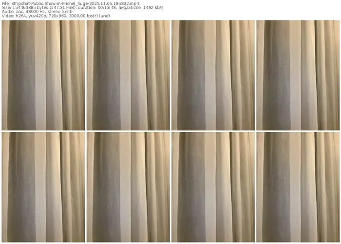 stripchat-michel_huge-11-05-2025-18-58-32