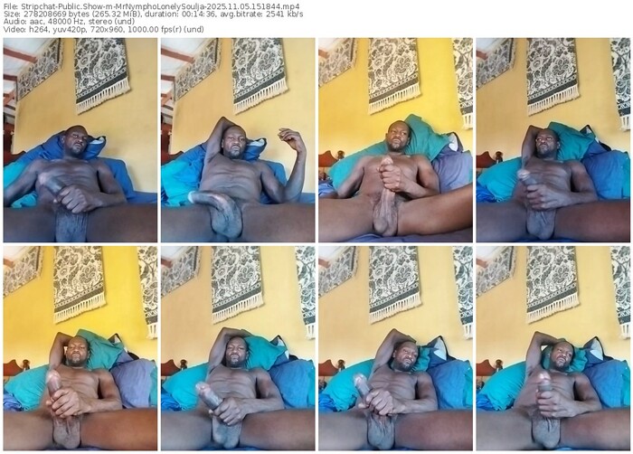 stripchat-mrnympholonelysoulja-11-05-2025-15-18-44
