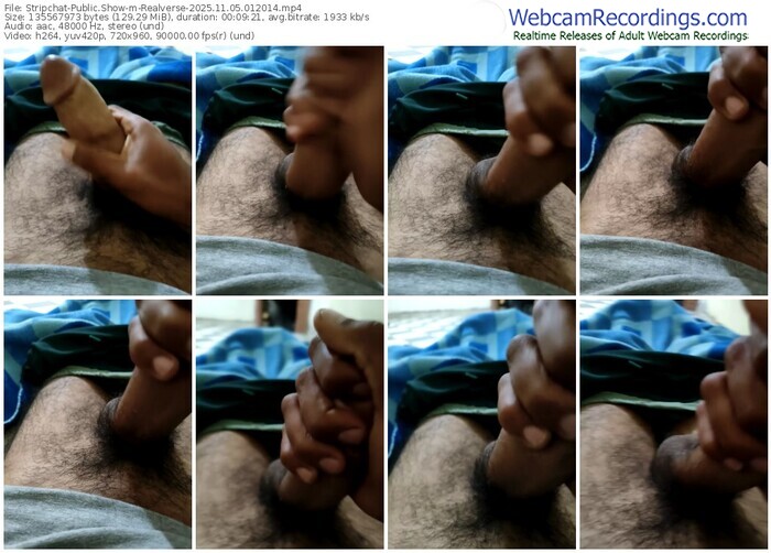 stripchat-realverse-11-05-2025-01-20-14