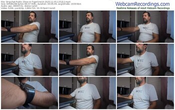 stripchat-tigerone19-11-05-2025-12-52-12