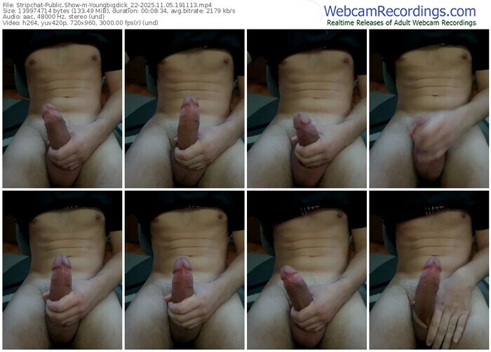 stripchat-youngbigdick_22-11-05-2025-19-11-13