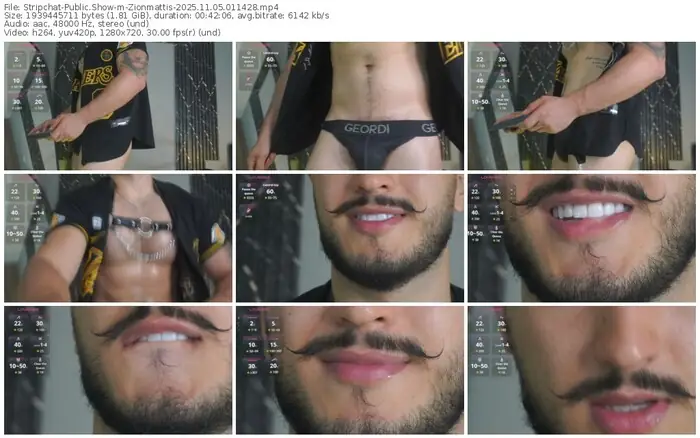 stripchat-zionmattis-11-05-2025-01-14-28