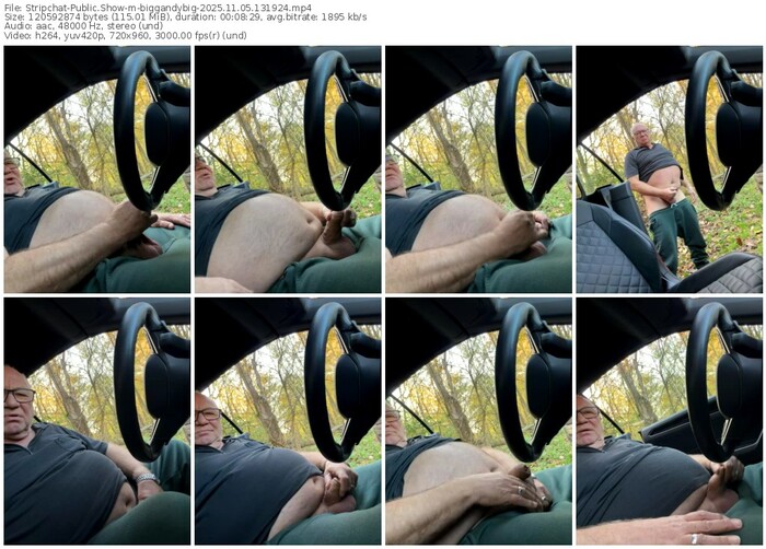 stripchat-biggandybig-11-05-2025-13-19-24