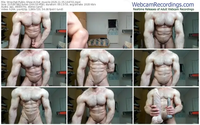 stripchat-hot_muscle-11-05-2025-16-47-01