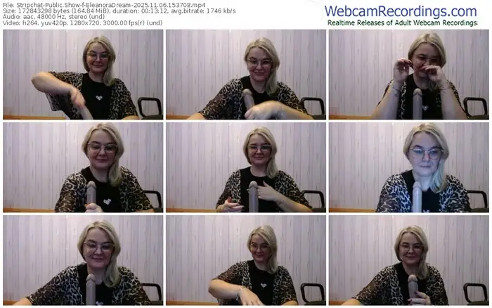 stripchat-eleanoradream-11-06-2025-15-37-08