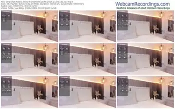 stripchat-shanonclark-11-06-2025-19-12-17