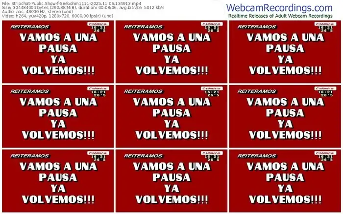 stripchat-seebohm1111-11-06-2025-13-49-13