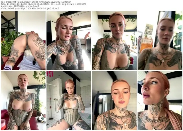 stripchat-stella-kink-11-06-2025-08-41-08