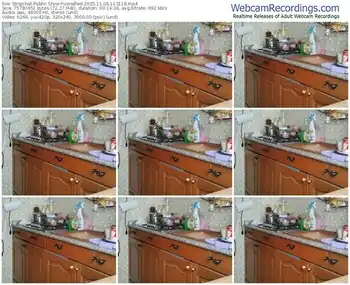 stripchat-venered-11-06-2025-11-31-18