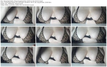 stripchat-peachyshow-11-06-2025-15-31-16