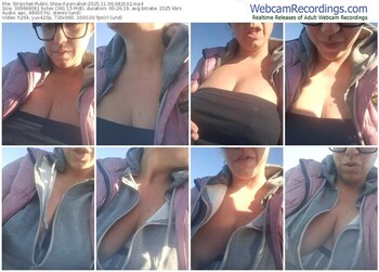 stripchat-porcahot-11-06-2025-08-21-02