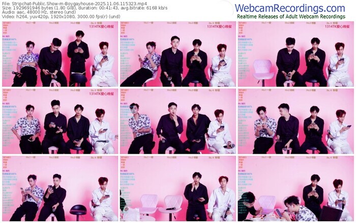 stripchat-boygayhouse-11-06-2025-11-53-23