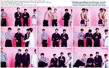 stripchat-boygayhouse-11-06-2025-13-34-47