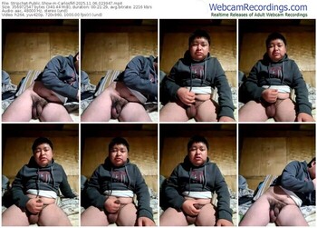 stripchat-carlosfkf-11-06-2025-02-39-47