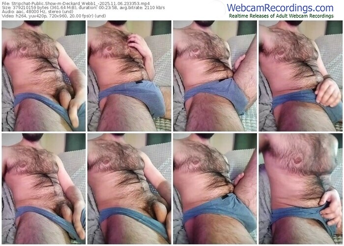 stripchat-deckard_webb1_-11-06-2025-23-33-53